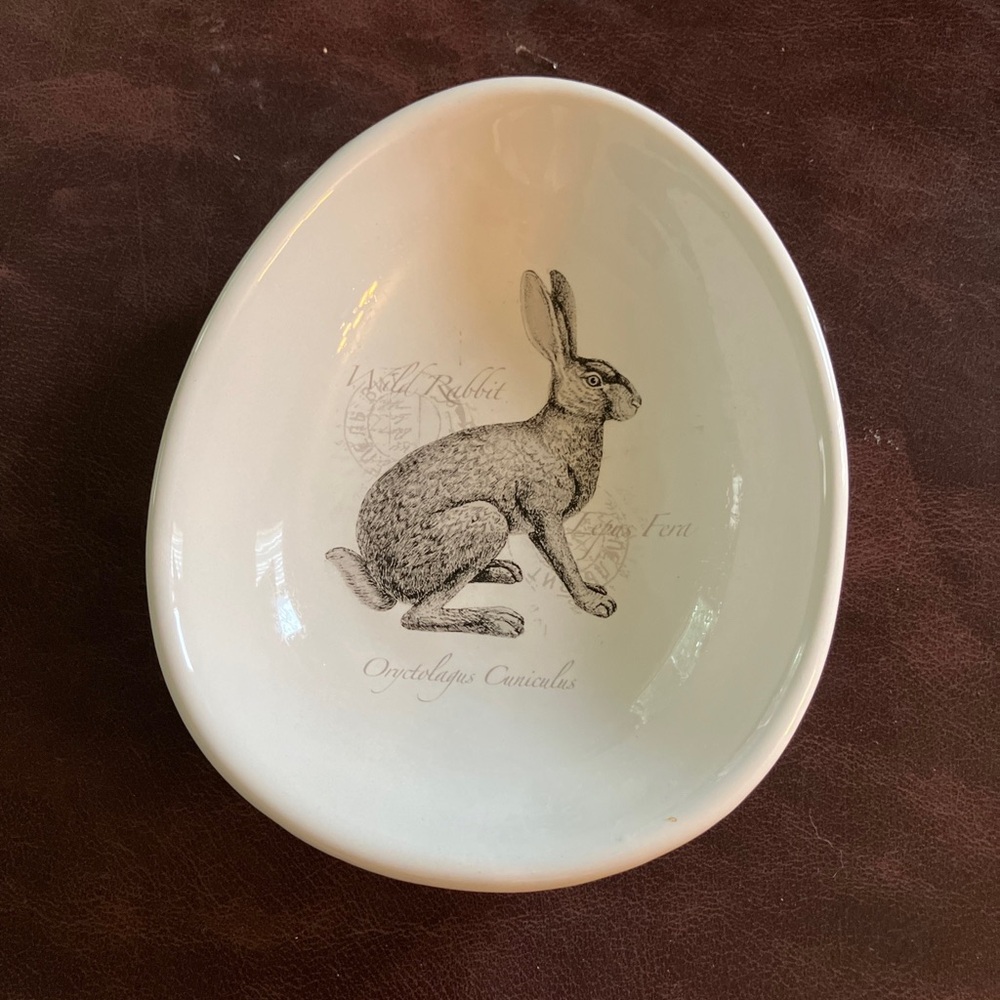 Bunny Rabbit Sketch 7” Bowl  Egg shaped